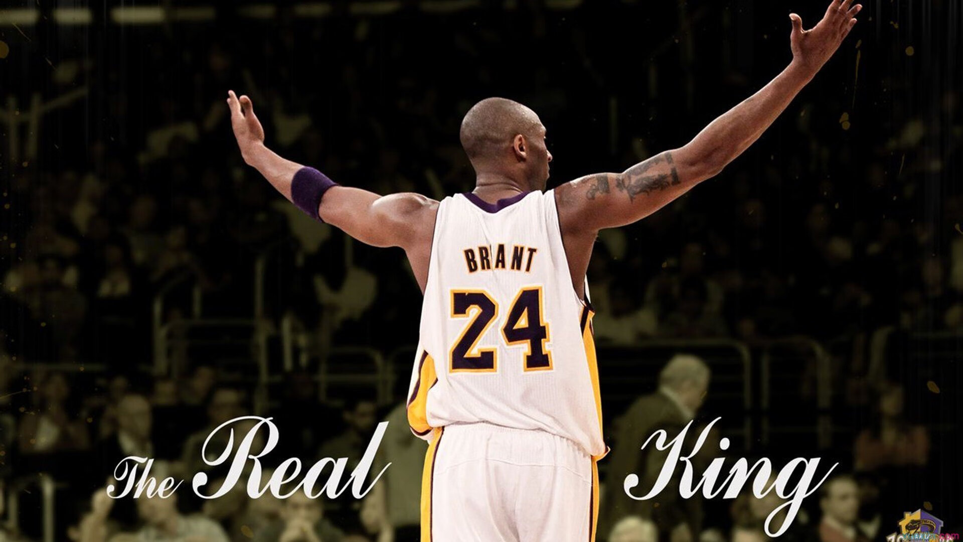 职业联赛推动球队视觉统一提升品牌辨识度